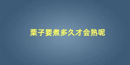 栗子要煮多久才会熟呢