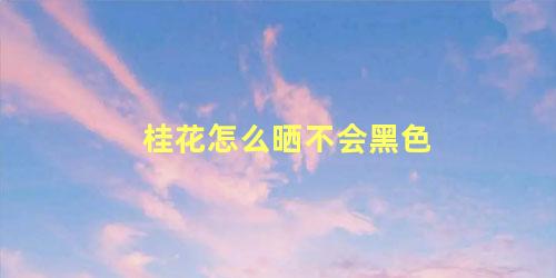 桂花怎么晒不会黑色