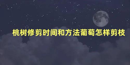 桃树修剪时间和方法葡萄怎样剪枝