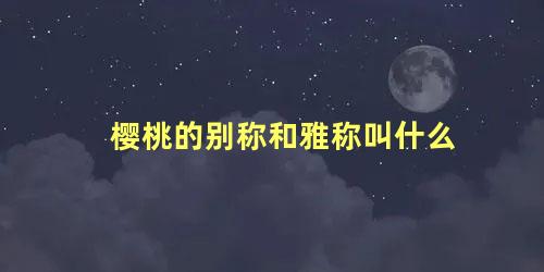 樱桃的别称和雅称叫什么