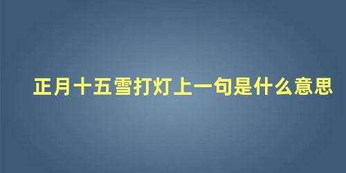 正月十五雪打灯上一句是什么意思