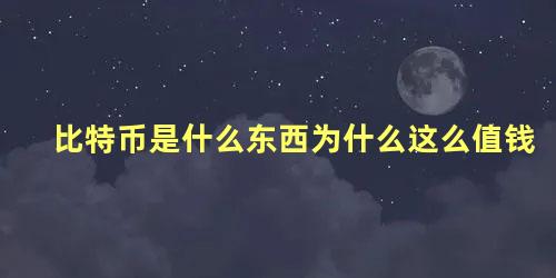 比特币是什么东西为什么这么值钱