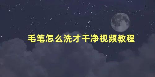 毛笔怎么洗才干净视频教程