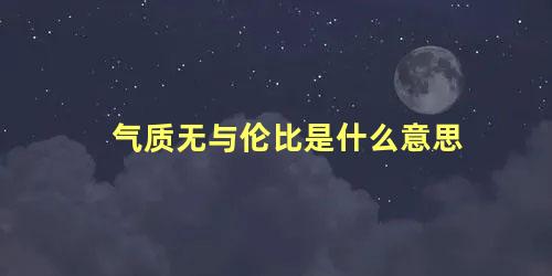 气质无与伦比是什么意思