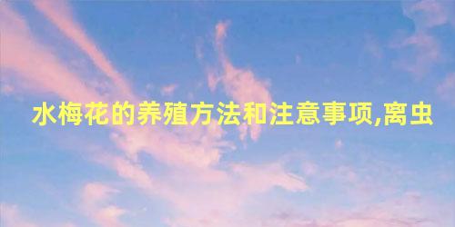 水梅花的养殖方法和注意事项,离虫害防该