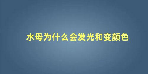 水母为什么会发光和变颜色