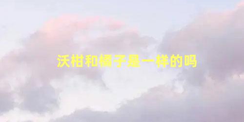 沃柑和橘子是一样的吗