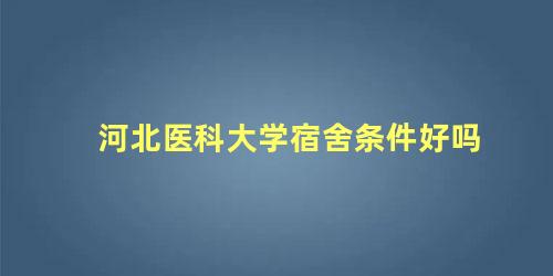 河北医科大学宿舍条件好吗