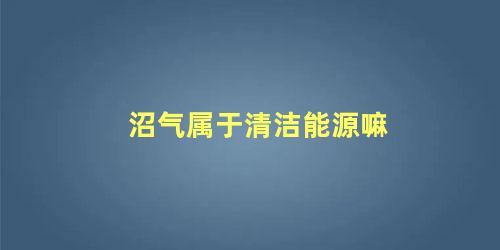 沼气属于清洁能源嘛