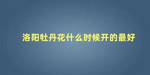 洛阳牡丹花什么时候开的最好