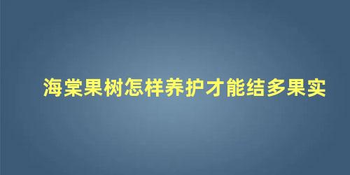 海棠果树怎样养护才能结多果实