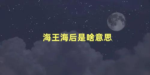 海王海后是啥意思