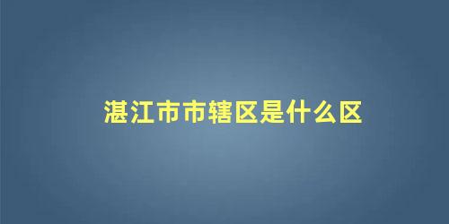 湛江市市辖区是什么区