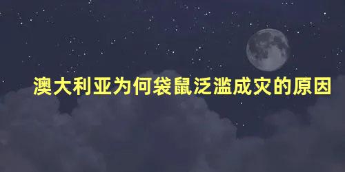 澳大利亚为何袋鼠泛滥成灾的原因