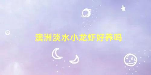 澳洲淡水小龙虾好养吗