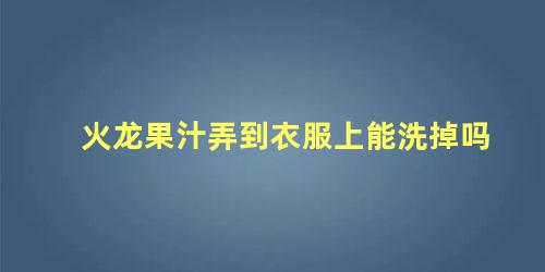 火龙果汁弄到衣服上能洗掉吗