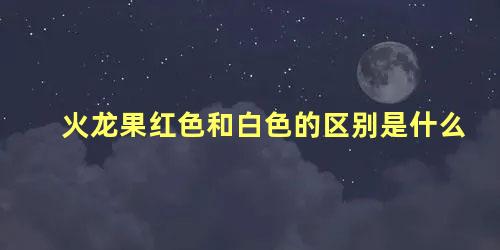 火龙果红色和白色的区别是什么