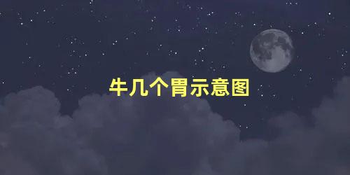 牛几个胃示意图