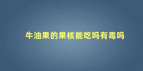 牛油果的果核能吃吗有毒吗