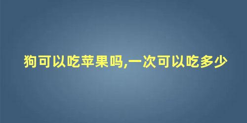 狗可以吃苹果吗,一次可以吃多少