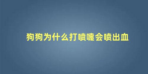 狗狗为什么打喷嚏会喷出血