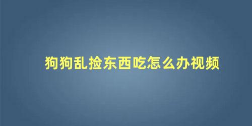 狗狗乱捡东西吃怎么办视频