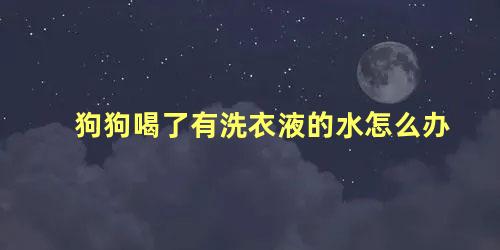 狗狗喝了有洗衣液的水怎么办