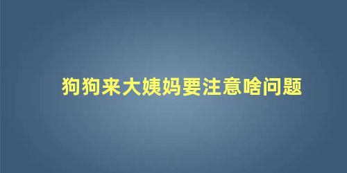 狗狗来大姨妈要注意啥问题