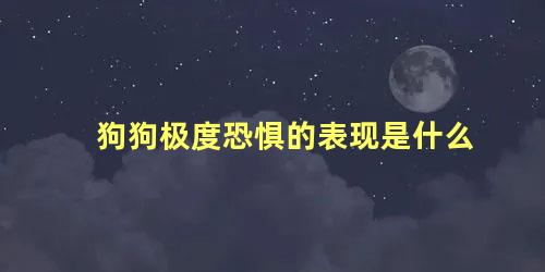 狗狗极度恐惧的表现是什么