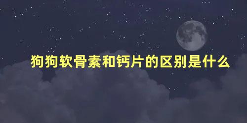 狗狗软骨素和钙片的区别是什么