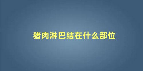 猪肉淋巴结在什么部位