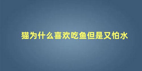 猫为什么喜欢吃鱼但是又怕水