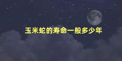 玉米蛇的寿命一般多少年