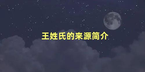 王姓氏的来源简介