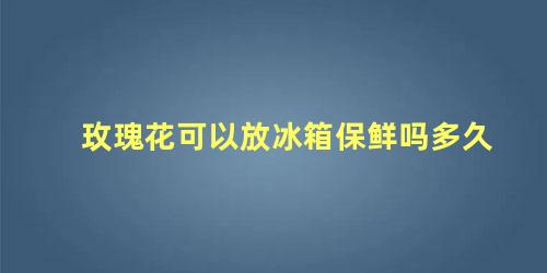 玫瑰花可以放冰箱保鲜吗多久