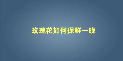 玫瑰花如何保鲜一晚