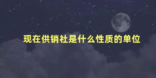 现在供销社是什么性质的单位