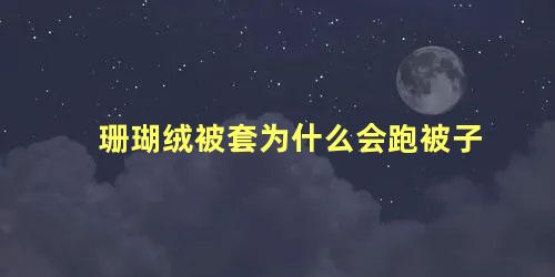 珊瑚绒被套为什么会跑被子