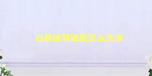 白鹅绒羽绒服怎么洗涤