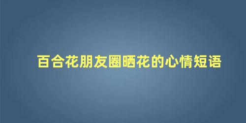 百合花朋友圈晒花的心情短语