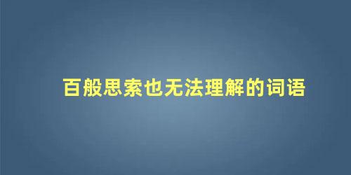 百般思索也无法理解的词语