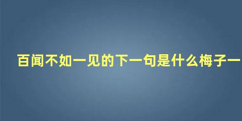 百闻不如一见的下一句是什么梅子一会儿电了