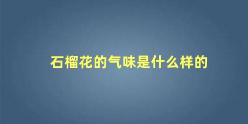 石榴花的气味是什么样的