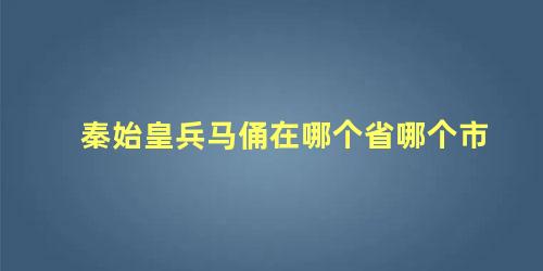 秦始皇兵马俑在哪个省哪个市