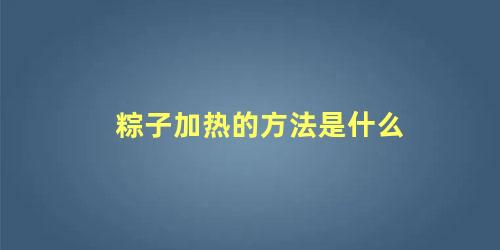 粽子加热的方法是什么