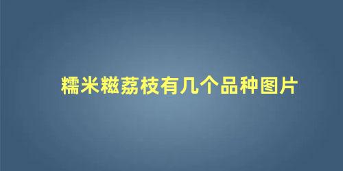 糯米糍荔枝有几个品种图片