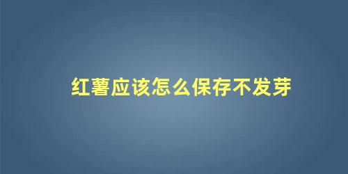 红薯应该怎么保存不发芽