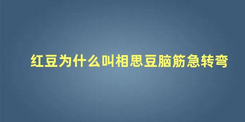 红豆为什么叫相思豆脑筋急转弯