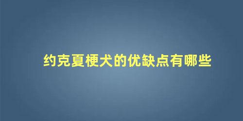 约克夏梗犬的优缺点有哪些