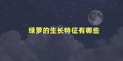 绿萝的生长特征有哪些